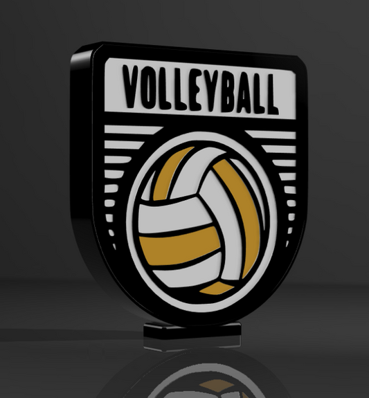 Volleyball Lamp #3